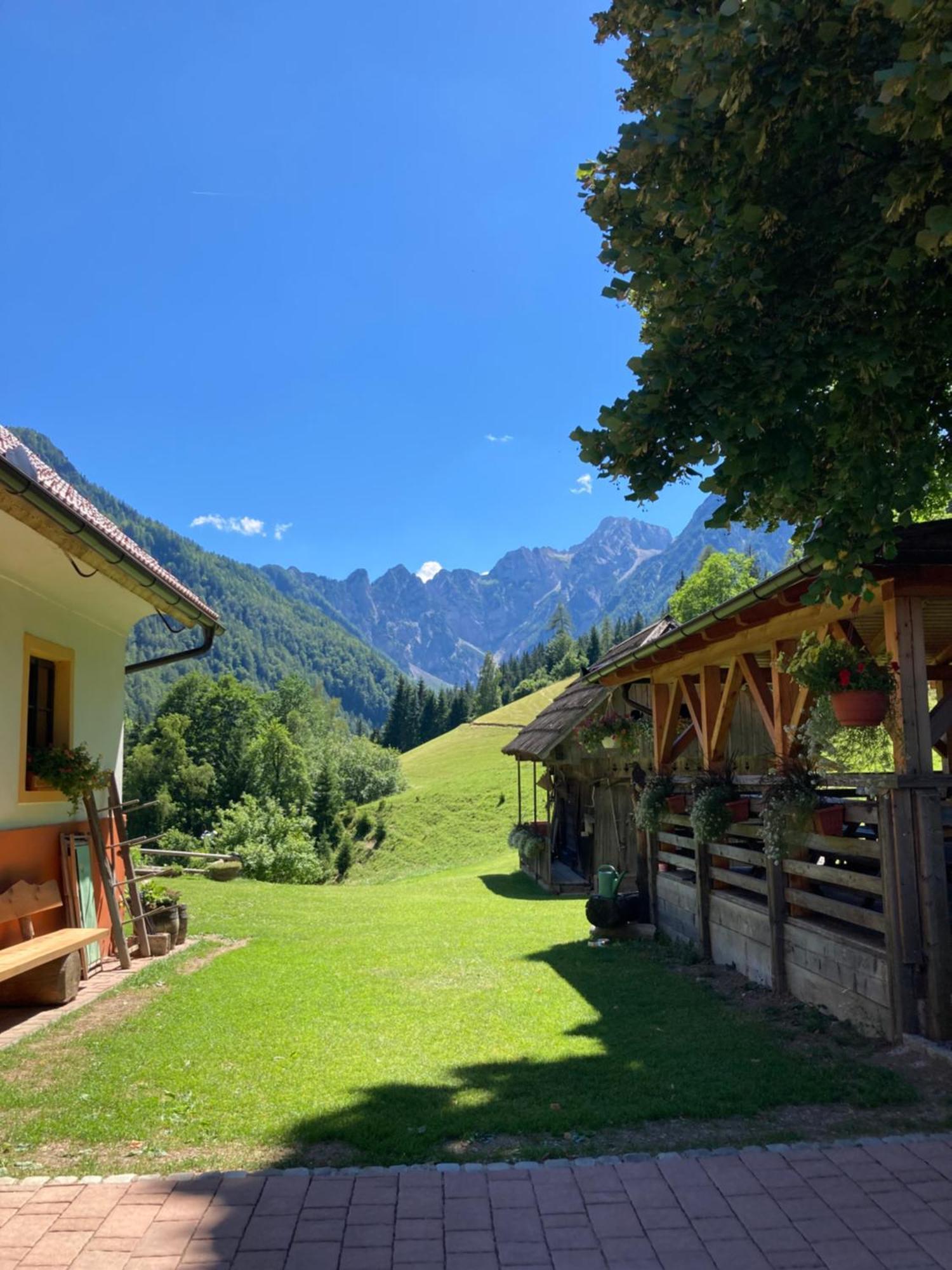 Апартаменты Tourist Farm Gradisnik Солчава Экстерьер фото