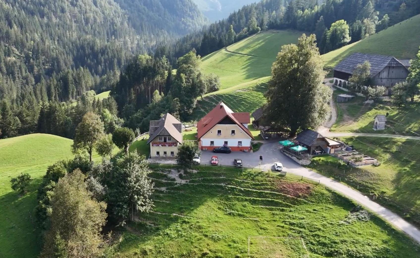 Апартаменты Tourist Farm Gradisnik Солчава Экстерьер фото