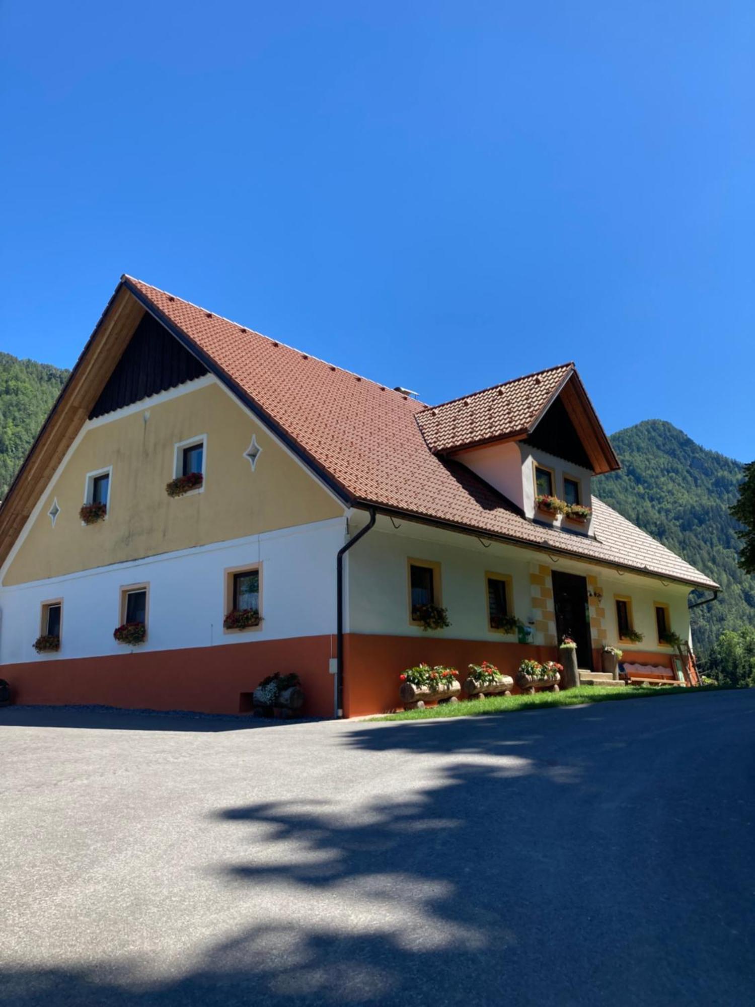 Апартаменты Tourist Farm Gradisnik Солчава Экстерьер фото