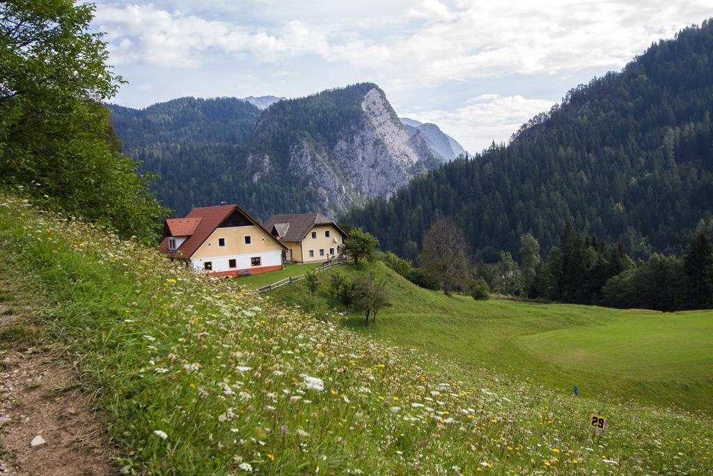 Апартаменты Tourist Farm Gradisnik Солчава Экстерьер фото
