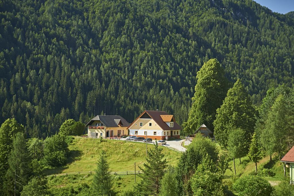 Апартаменты Tourist Farm Gradisnik Солчава Экстерьер фото